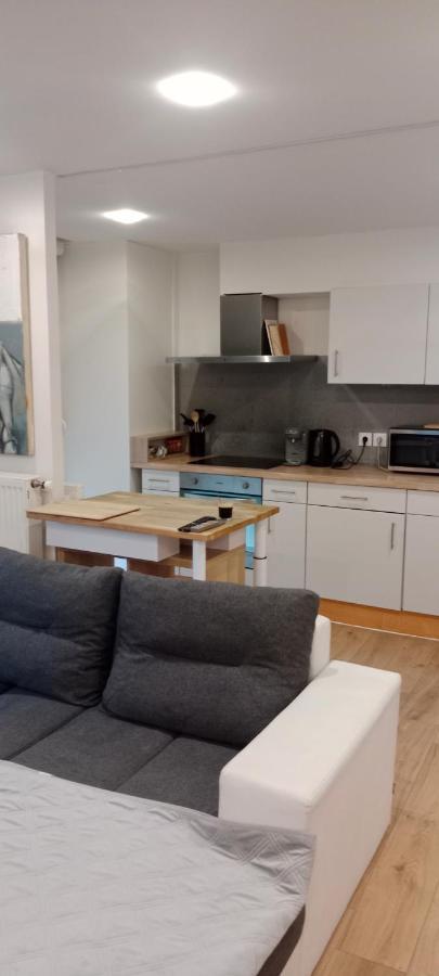 Tres Bel Appartement Rez De Jardin Appart De 53M2. Pfastatt Dış mekan fotoğraf